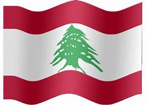 Image result for Lebanon National Flower