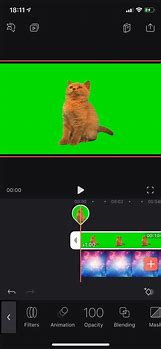 Image result for Green Screen Recording Camera in Reel Size