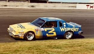 Image result for Dale Earnhardt Car Paint Schemes