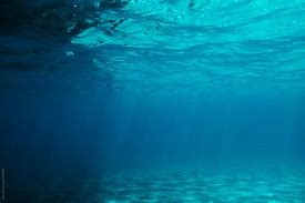 Image result for Underwater Ocean Clear Background