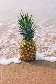 Image result for Summer Pineapple Wallpaper