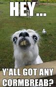 Image result for Funniest Llama Memes