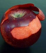 Image result for Red Flesh Apple Shaw's