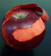 Image result for Red Flesh Apple