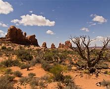 Image result for Desert Landscape Images