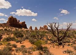 Image result for Desert Mountain Landscape
