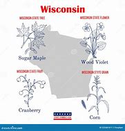 Image result for Wisconsin State Statute Symbol