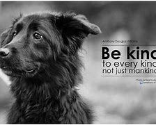 Image result for Stay Kindness Quotes Animals