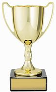 Image result for Award Cups Trophies