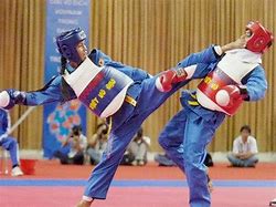 Image result for Karate Face Kick