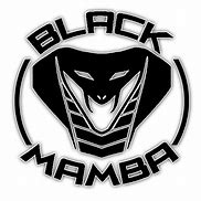 Image result for Black Mamba Logo