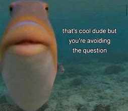 Image result for Question Memes for Facebook