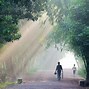 Image result for Early Morning Fog