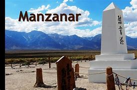 Image result for amanzanar