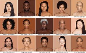 Image result for Human Skin Color Variation