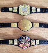 Image result for Designer Wrestling Belt
