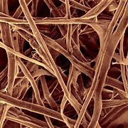 Image result for Stracture of Paper Pulp Cellulose