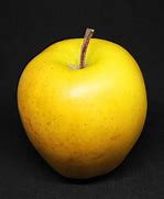 Image result for Old Golden Apple