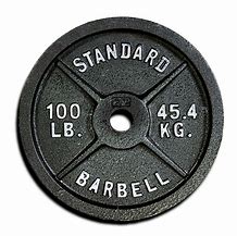 Image result for Steel Olympic Plates