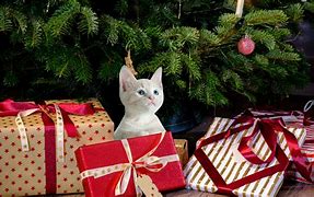 Image result for Christmas Gifts for Cats