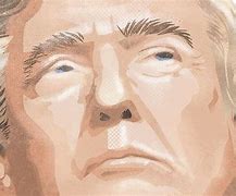 Image result for Trump Illustration