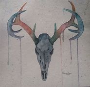 Image result for Watercolor Deer Skull