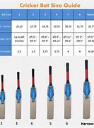Image result for Cricket Bat Weight Chart