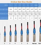 Image result for cricket bat sizes