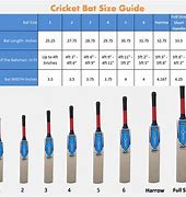 Image result for Bat Size Chart