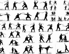 Image result for Martial Arts Cane Fighting