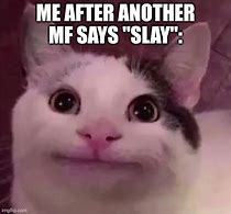 Image result for Slay Cat Meme