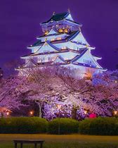 Image result for Osaka Tower Japan