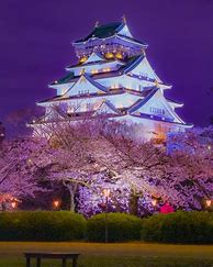 Image result for Osaka Nighttime