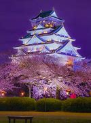 Image result for Osaka Castle Night