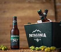 Image result for Cerveza Patagonia