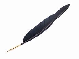 Image result for Goose Feather Pen