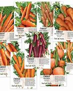 Image result for List Types of Carrots