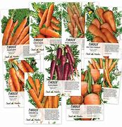 Image result for Carrot Names