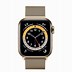 Image result for Apple Watch Series 6 Gold Milanese