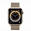 Image result for IP Gold Satin Case Watch