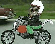 Image result for Motorcycle Animation GIF
