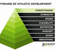Image result for Basketball Pathway through Sports Development Pyramid