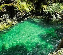 Image result for Opal Creek Or
