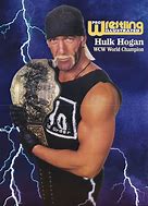 Image result for Hulk Hogan NWO