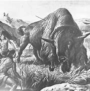 Image result for 9000 Year Old Bison