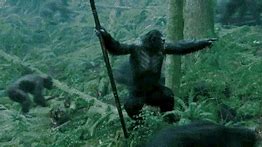 Image result for Apes Together Strong GIF Template