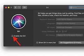 Image result for How to Enable Siri