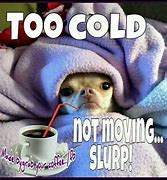 Image result for It's Too Cold Meme