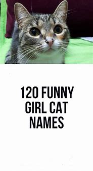 Image result for Funny Girl Cat Names