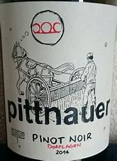 Image result for Brigitte Gerhard Pittnauer Pinot Noir Dorflagen